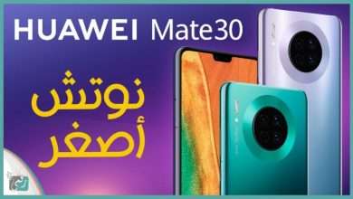 Mate 30