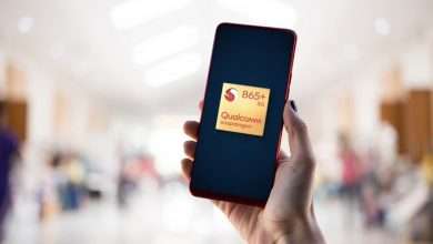 +Snapdragon 865