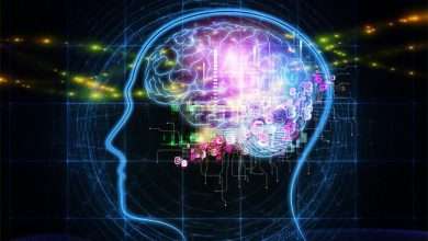 علماء يطورون طريقة لربط الدماغ البشري مع الذكاء الاصطناعي تعرف عليها