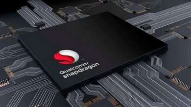 Snapdragon