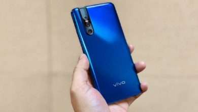 vivo