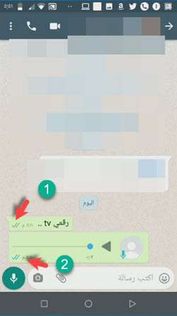 حيل واتساب 2021 : معرفة هل الطرف الآخر قرأ الرسالة أم لا حتى مع إيقاف مؤشرات قراءة الرسائل 4 حيل واتساب 2021