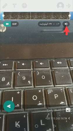 كتم صوت الفيديو 