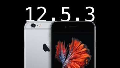 iOS 12.5.3