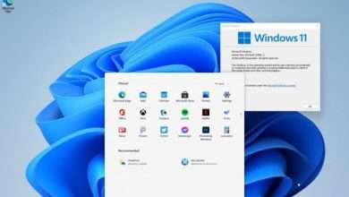 Windows 11