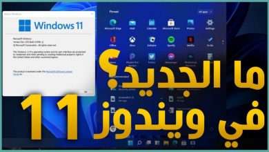 11 Windows
