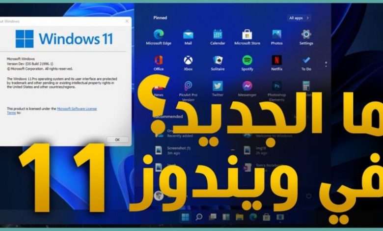 11 Windows