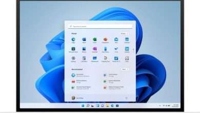Windows 11