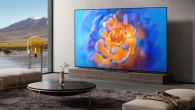 Xiaomi Mi OLED V21