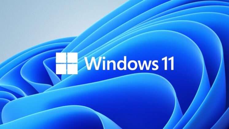 ويندوز 11
