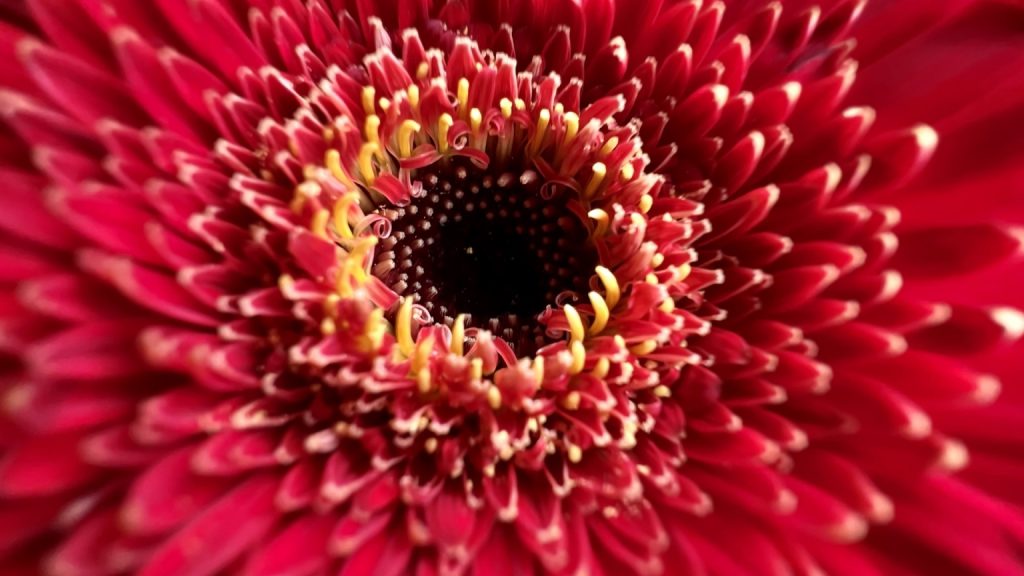 ايفون 13 برو - iPhone 13 Pro مشكلة غريبة في الهواتف والشركة تعد بالحل 6 ايفون 13 برو - iPhone 13 Pro مشكلة غريبة في الهواتف والشركة تعد بالحل