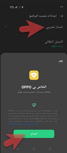 كيف تحصل على تحديث واجهة اوبو ColorOS 12 المستندة إلى أندرويد 12 قبل الجميع؟ 3 كيف تحصل على تحديث واجهة اوبو ColorOS 12 المستندة إلى أندرويد 12 قبل الجميع؟