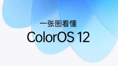 واجهة ColorOS 12 تمنح المستخدمين 7 ميزات غاية في الأهمية رسميًا .. تعرف عليهم