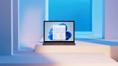 ويندوز 11