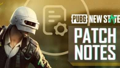 PUBG New State