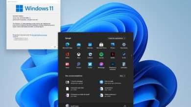 Windows 11