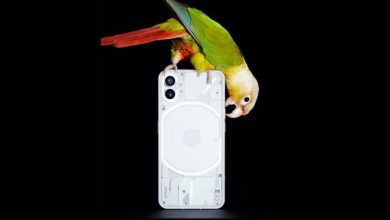 Nothing Phone (1)