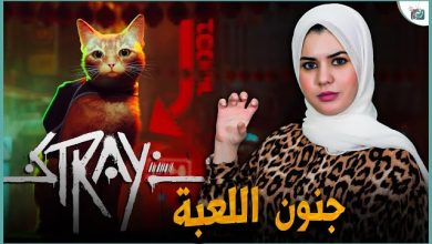 لعبة stray