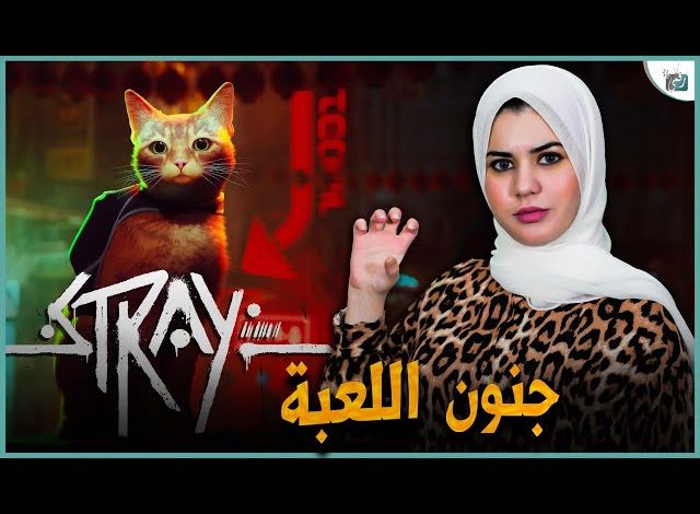 لعبة stray