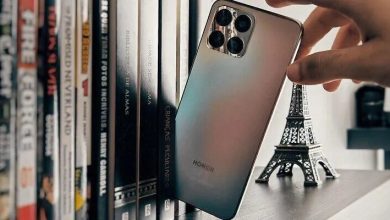Honor X6