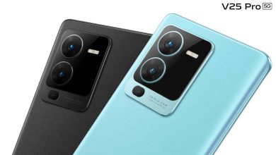 V25 Pro