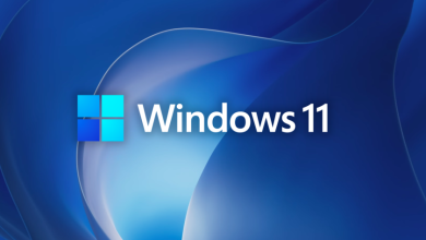 ويندوز 11
