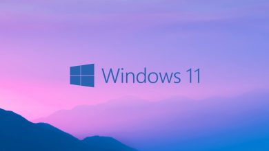 ويندوز 11