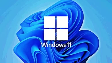 Windows 11