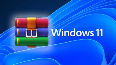Windows 11