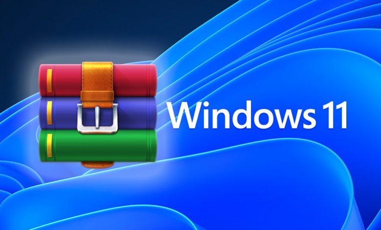 Windows 11
