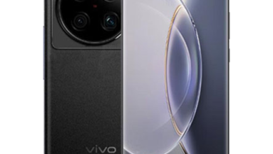 vivo X100 Pro Plus