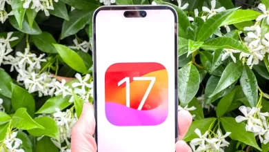 أي أو أس 17