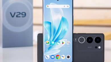 فيفو في 29