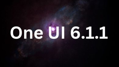 One UI 6.1.1