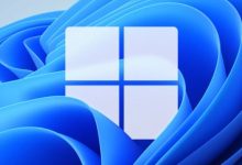 Windows 11