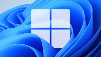 Windows 11