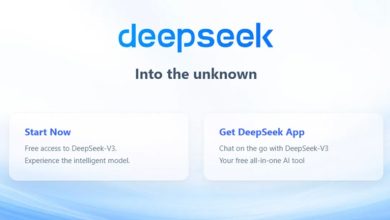 DeepSeek