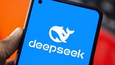 DeepSeek