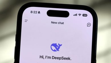 DeepSeek R1