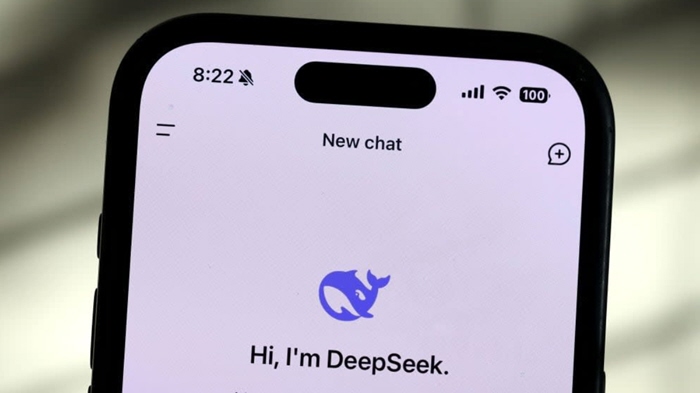 DeepSeek R1