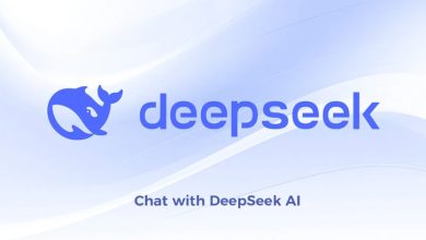 DeepSeek