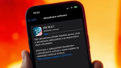 iOS 18.3.1
