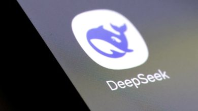DeepSeek
