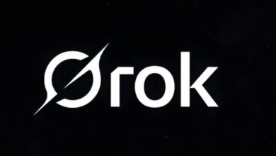 Grok 4