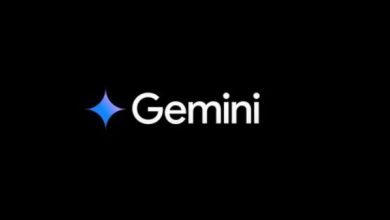 Gemini 2.5 Flash-Lite