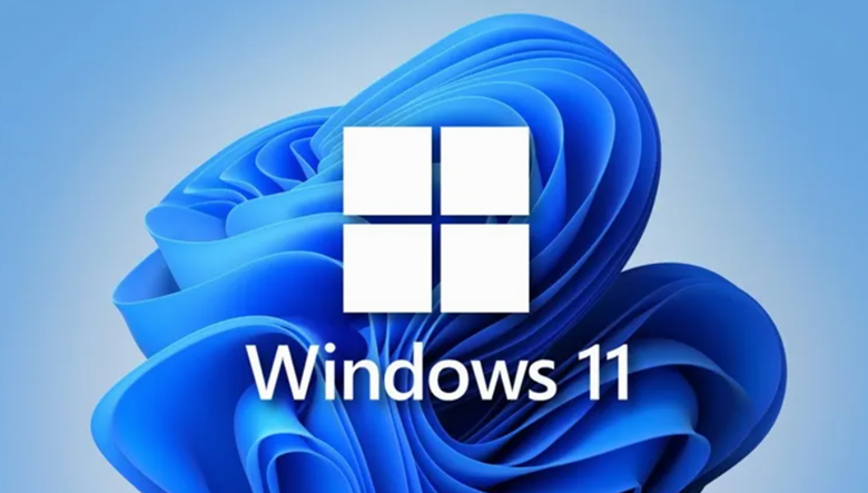 Windows 11