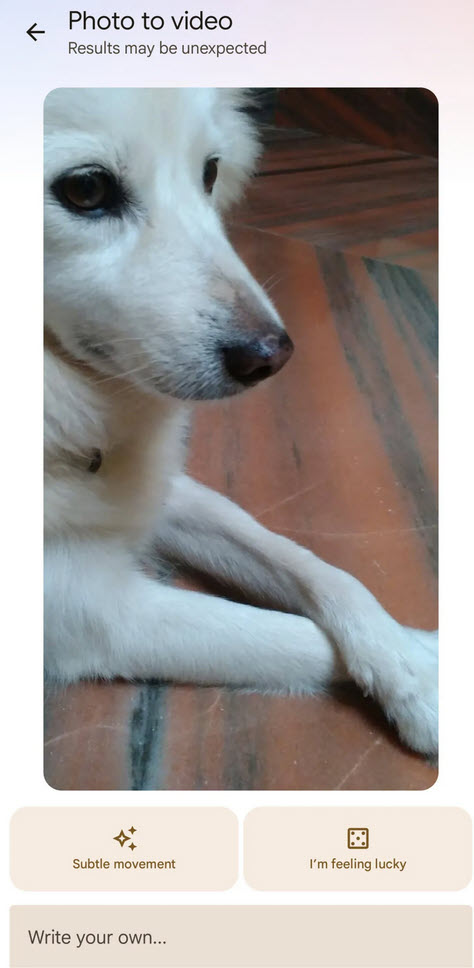 Google Photos