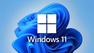 ويندوز 11