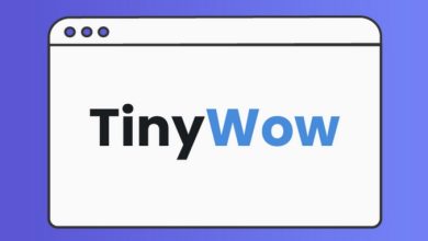 موقع TinyWow