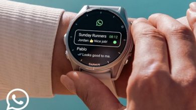Garmin